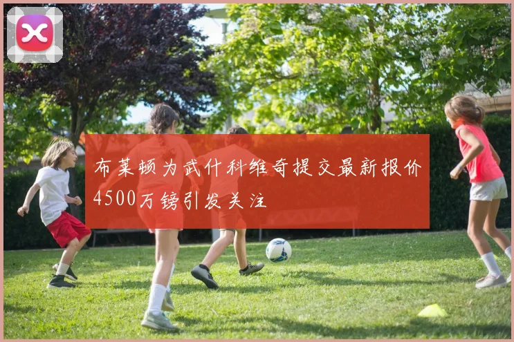 布莱顿为武什科维奇提交最新报价4500万镑引发关注