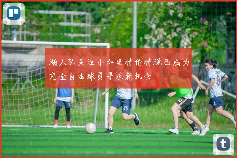湖人队关注小加里特伦特现已成为完全自由球员寻求新机会