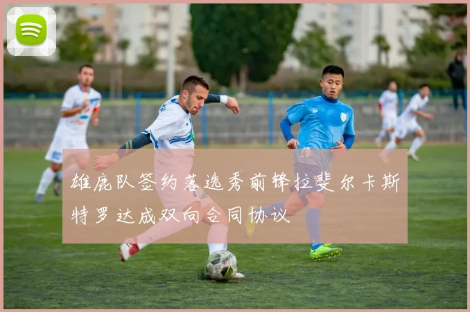 雄鹿队签约落选秀前锋拉斐尔卡斯特罗达成双向合同协议